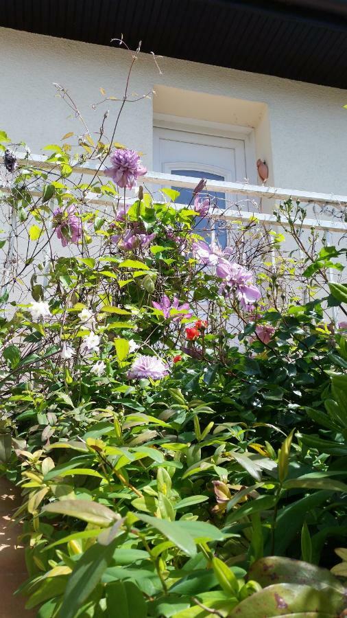 Chambre Avec Jardin Pierre Curie Bry-sur-Marne Eksteriør billede